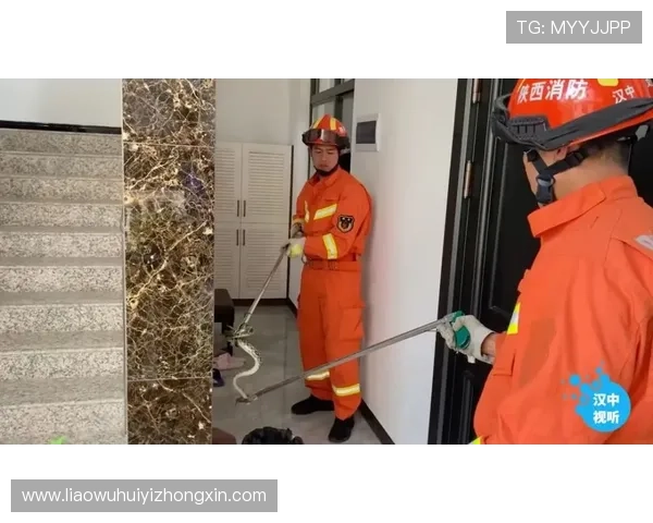 华体会官网安全漏洞防范措施全面介绍保障用户权益