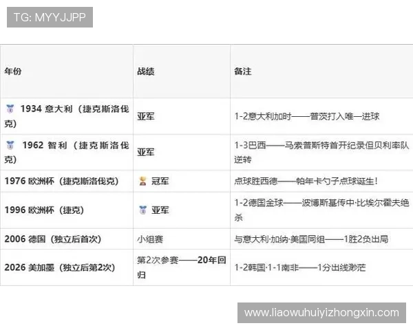 捷克对阵墨西哥比赛对阵图详细分析与赛前预测指南